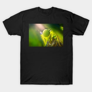 Ulu Fruit Tree T-Shirt